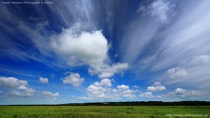 生やす