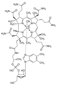 ビタミンB12