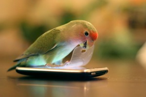 剥がす